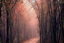 现在手机运行内存多少合适,2021年手机运行内存多大合适