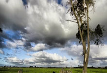 现在手机运行内存多少合适,2021年手机运行内存多大合适