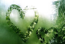 小米手机应用数据占了很多内存咋办,小米手机应用数据怎么清理