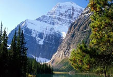 手机应用商店搜索不到微信,手机软件商店搜不到微信